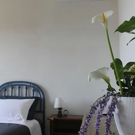 Torre